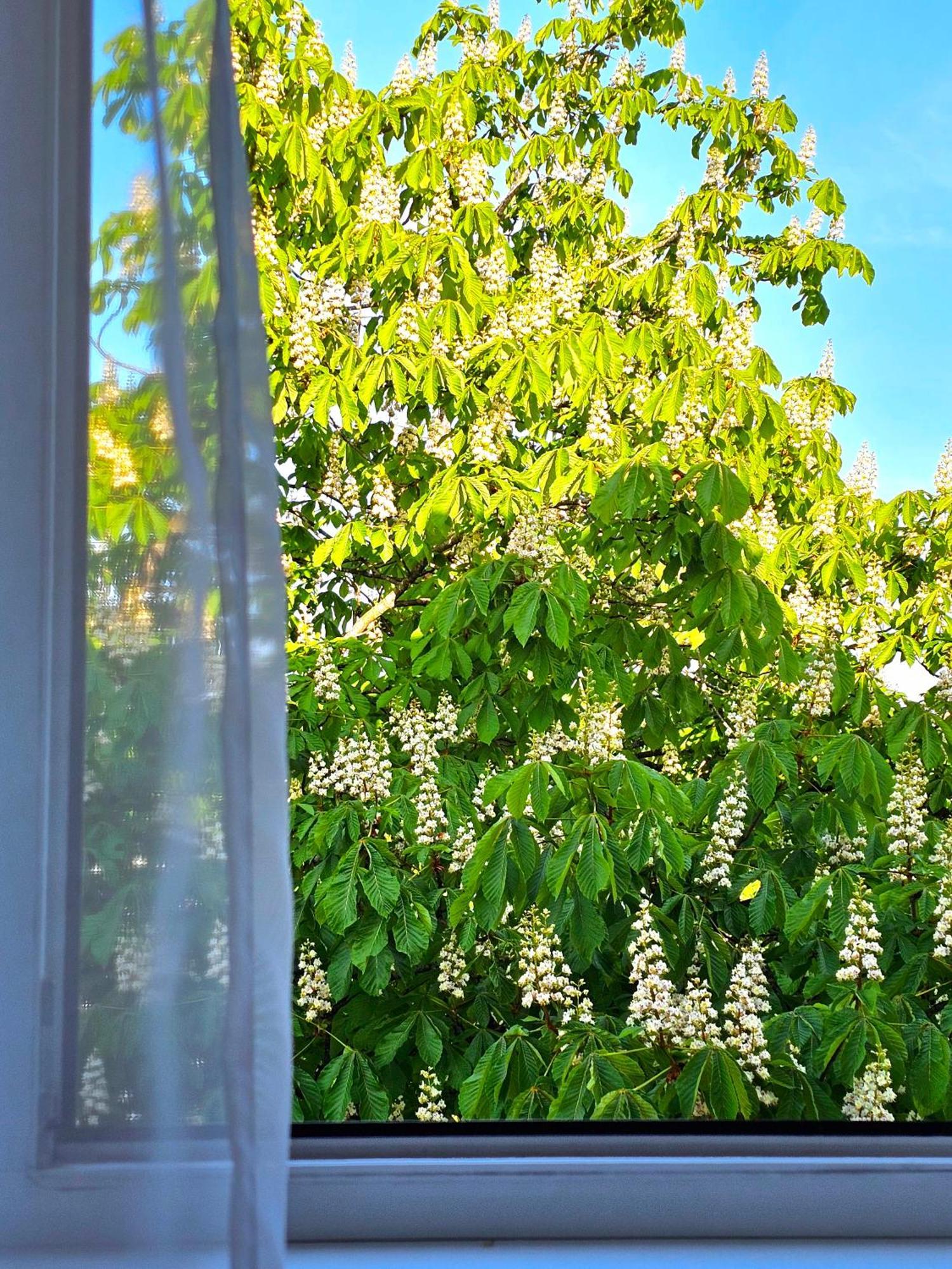 Apartment Apartamentai 76 *